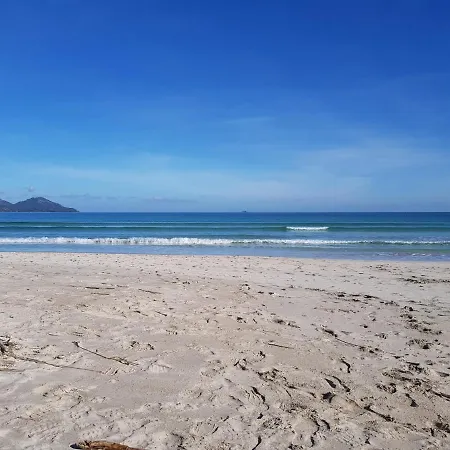 Apartamento Ideal Mallorca - Avinguda Dels Pins 441